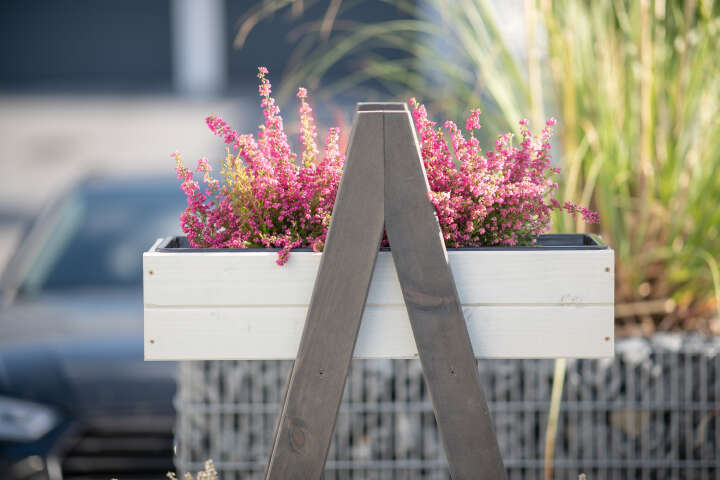 WESTMANN Pflanzregal Ella